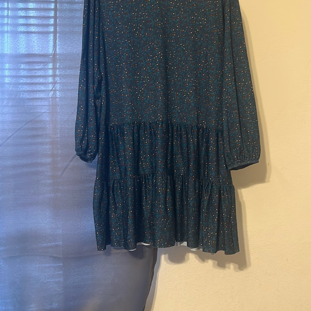 Zara Blue Floral Long-Sleeve Dress